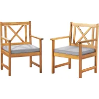 Outdoor Buttonbush Brown Chair Set of 2