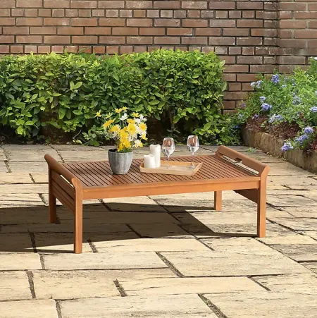 Outdoor Seegmiller Brown Cocktail Table