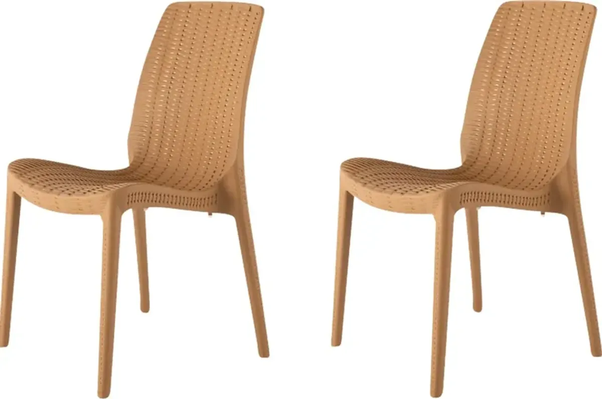 Lagoon Rue Tan Outdoor Dining Chair, Set of 2