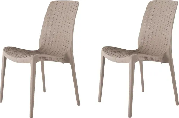 Lagoon Rue Gray Outdoor Dining Chair, Set of 2