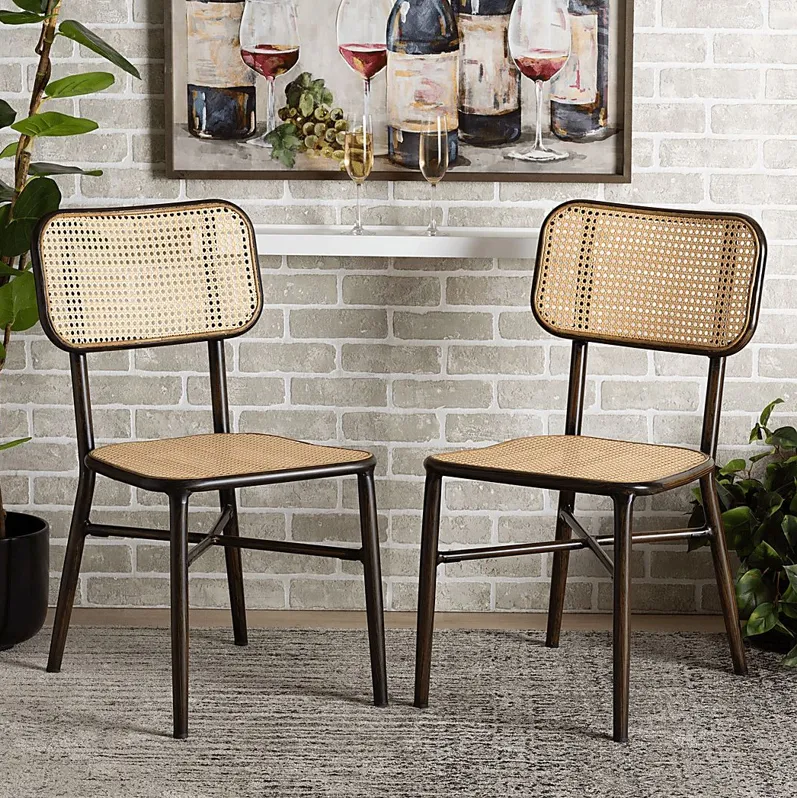 Outdoor Atniael Brown Side Chair Set of 2