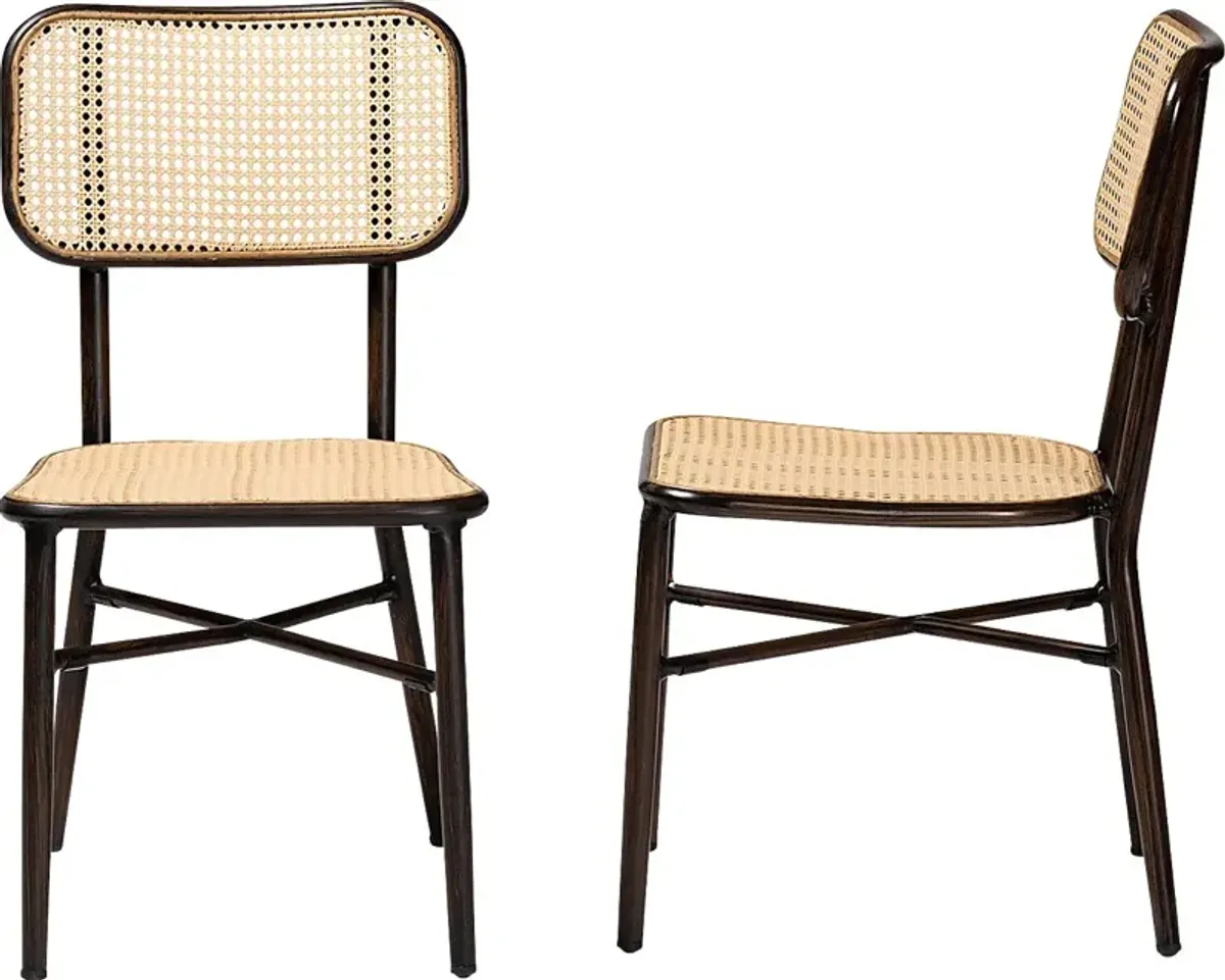 Outdoor Atniael Brown Side Chair, Set of 2