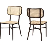 Outdoor Atniael Brown Side Chair Set of 2