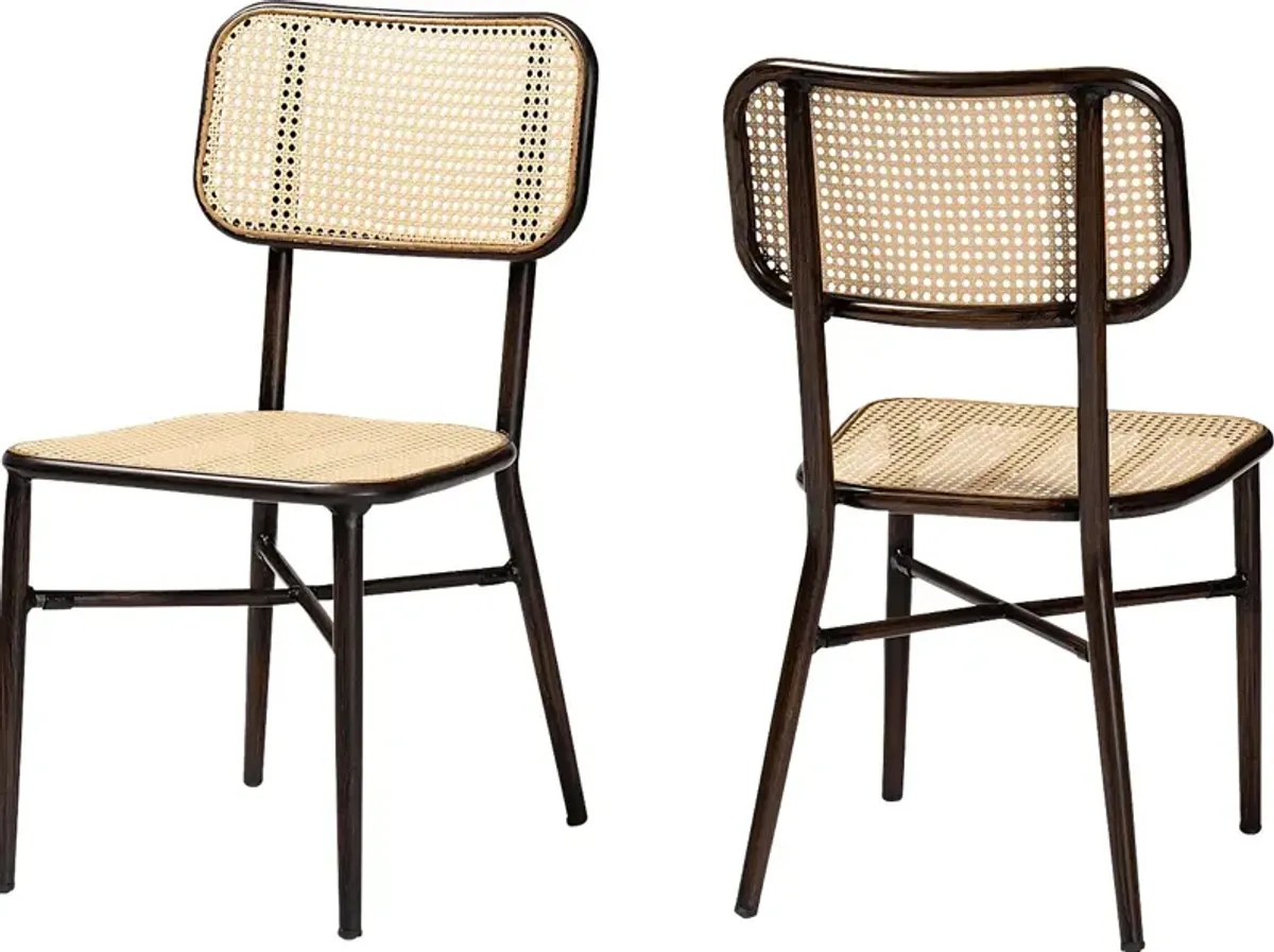 Outdoor Atniael Brown Side Chair, Set of 2