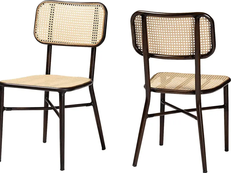 Outdoor Atniael Brown Side Chair Set of 2