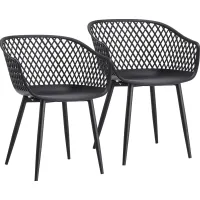 Auraria Black Outdoor Arm Chair, Set of 2