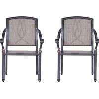 Outdoor Blanton Brown Side Chair, Set of 2