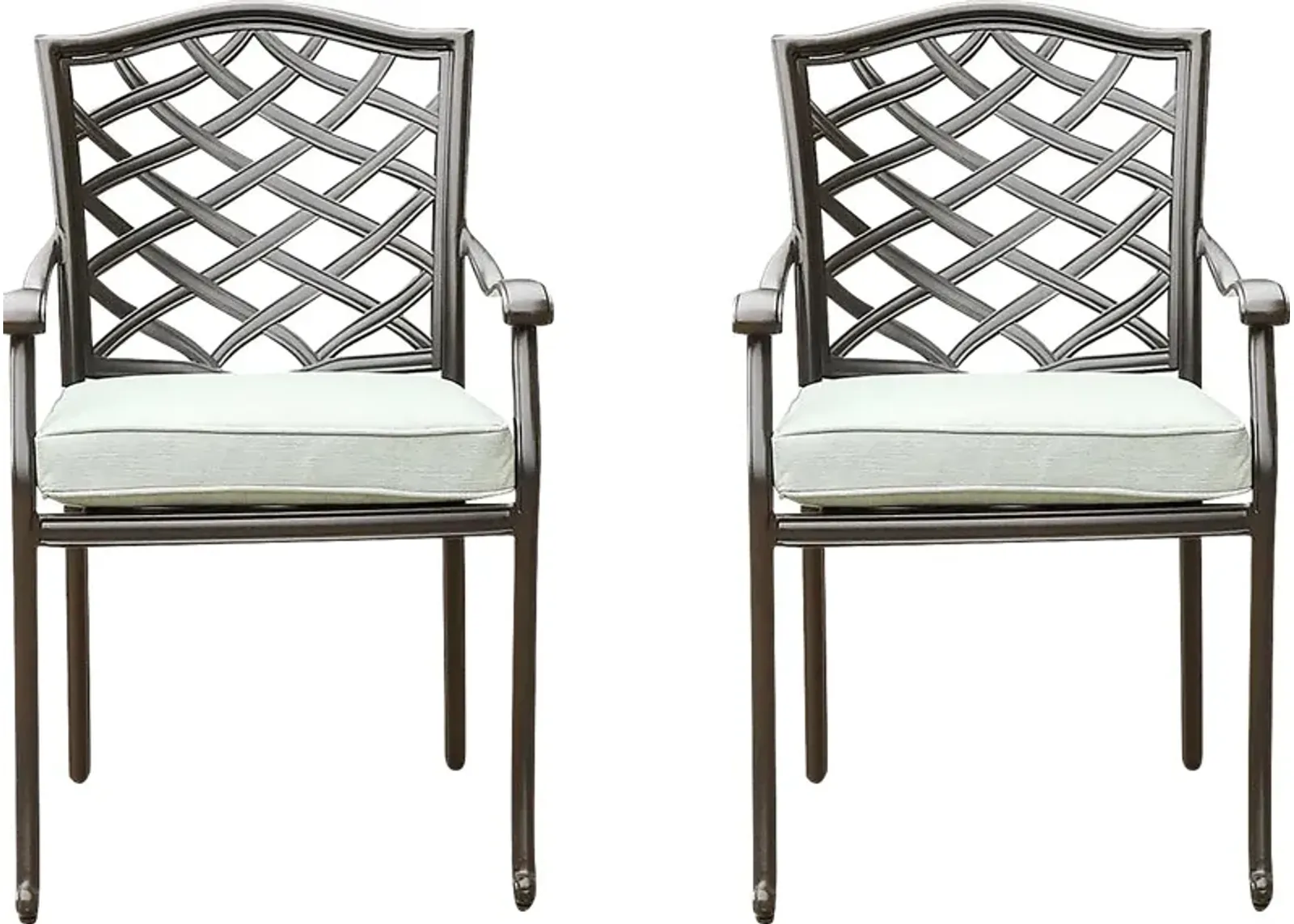 Outdoor Cyrielle I Gray Side Chair, Set of 2