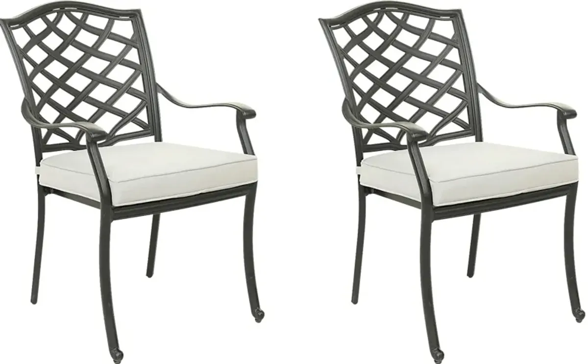 Outdoor Cyrielle I Gray Side Chair, Set of 2