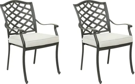 Outdoor Cyrielle I Gray Side Chair, Set of 2
