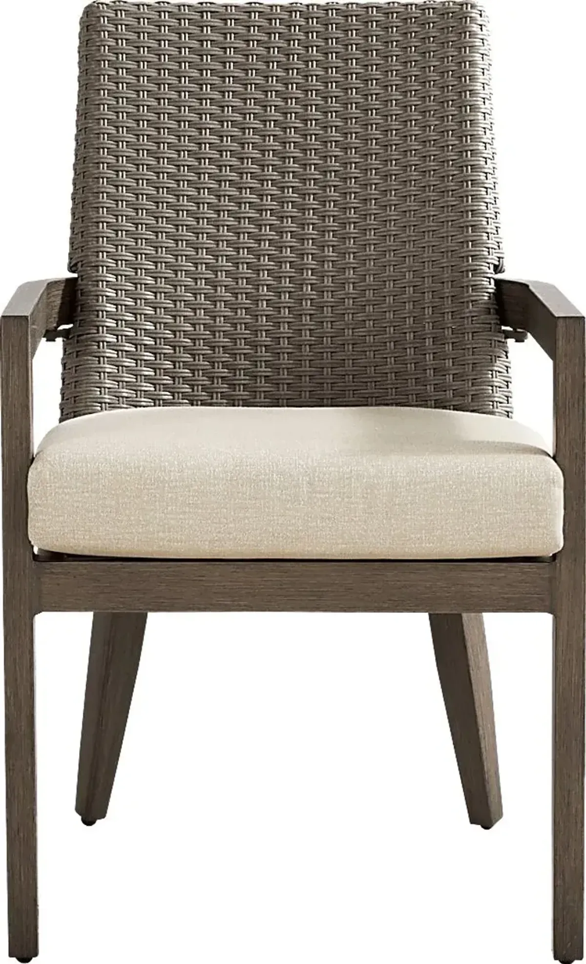 Point Reyes Brown Outdoor Arm Chair