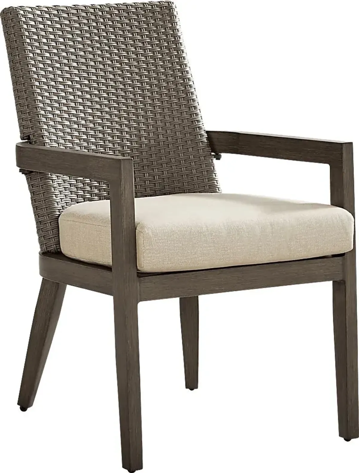 Point Reyes Brown Outdoor Arm Chair