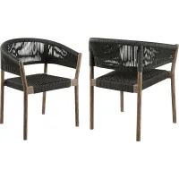 Arlajen Charcoal Outdoor Arm Chair, Set of 2