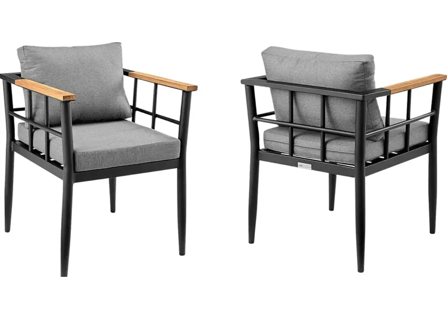 Outdoor Aurania Black Arm Chair, Set of 2