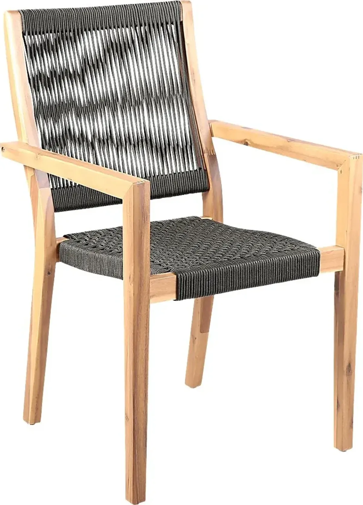 Outdoor Borbeck Black Arm Chair, Set of 2