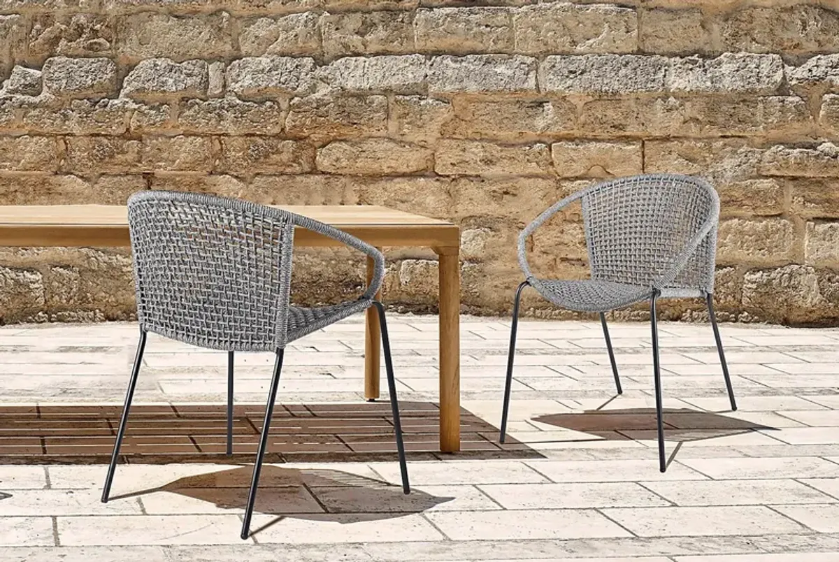 Terela Gray Outdoor Arm Chair, Set of 2