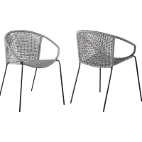 Terela Gray Outdoor Arm Chair, Set of 2
