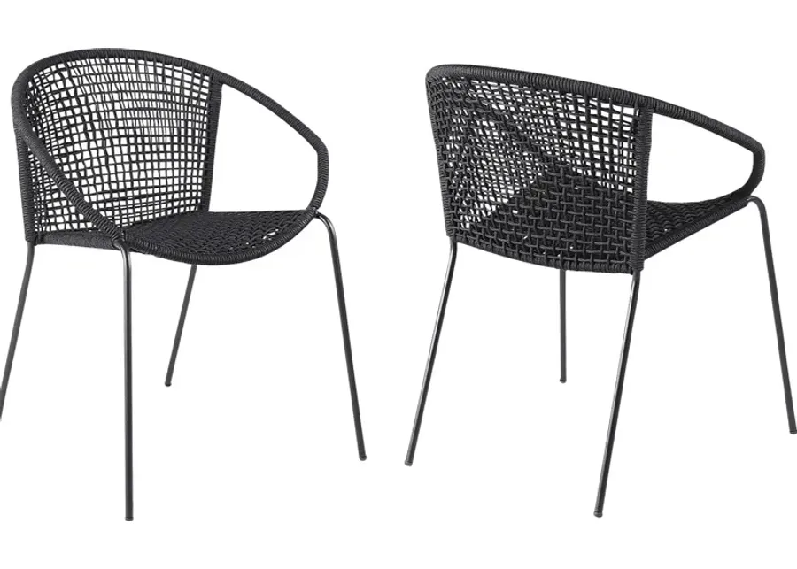 Terela Black Outdoor Arm Chair, Set of 2