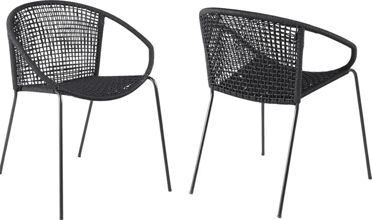 Terela Black Outdoor Arm Chair, Set of 2