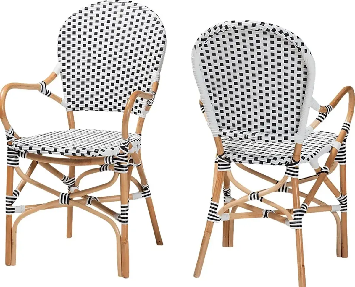 Outdoor Nalina Elle I Black Arm Chair, Set of 2