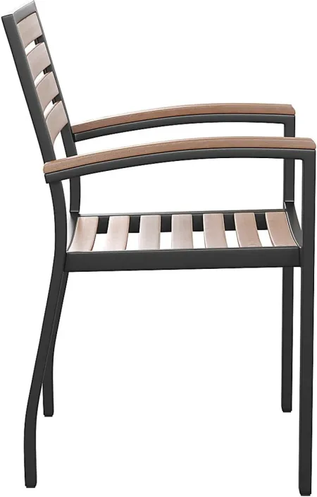 Outdoor Renoldor Brown Dining Chair, Set of 2