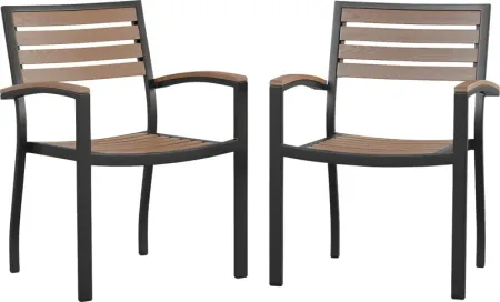 Outdoor Renoldor Brown Dining Chair, Set of 2