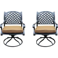 Outdoor Baudouin I Brown Swivel Side Chair, Set of 2