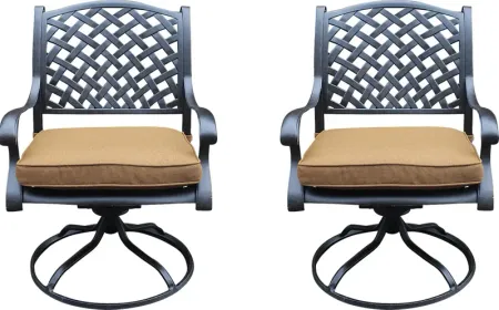 Outdoor Baudouin I Brown Swivel Side Chair, Set of 2