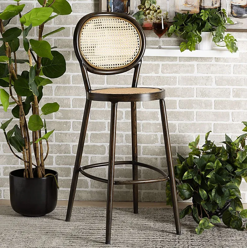 Outdoor Ivanel Brown Bar Stool