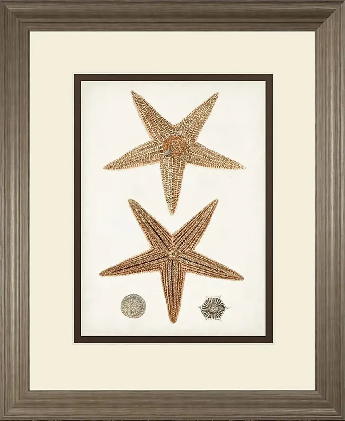 Rempart Brown Framed Wall Art