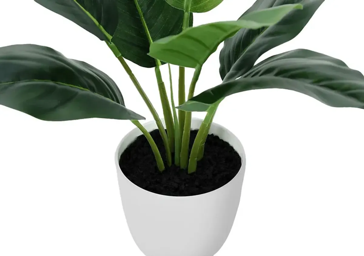 Coastline Green Artificial Aureum Plant