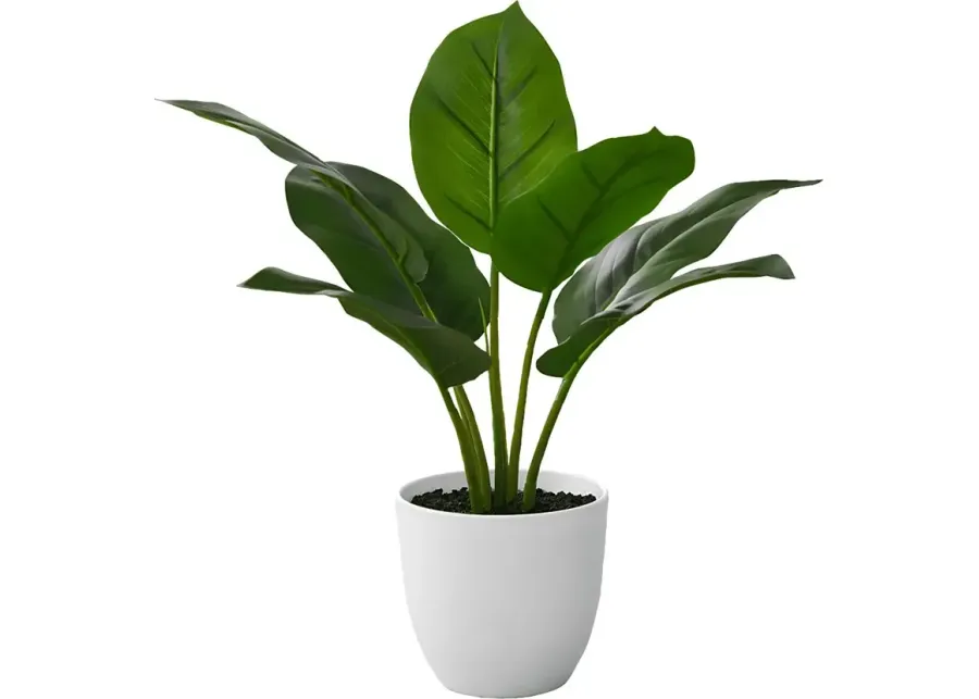 Coastline Green Artificial Aureum Plant