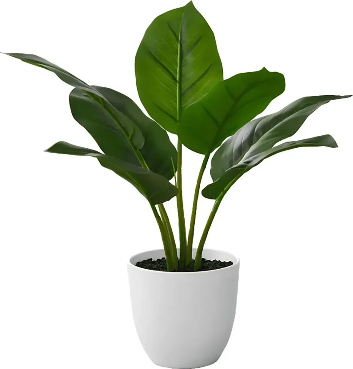 Coastline Green Artificial Aureum Plant