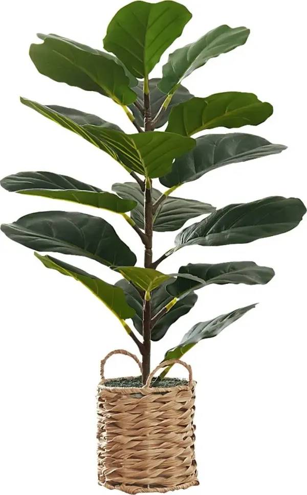 Ketembilla Green Artificial Fiddle Tree