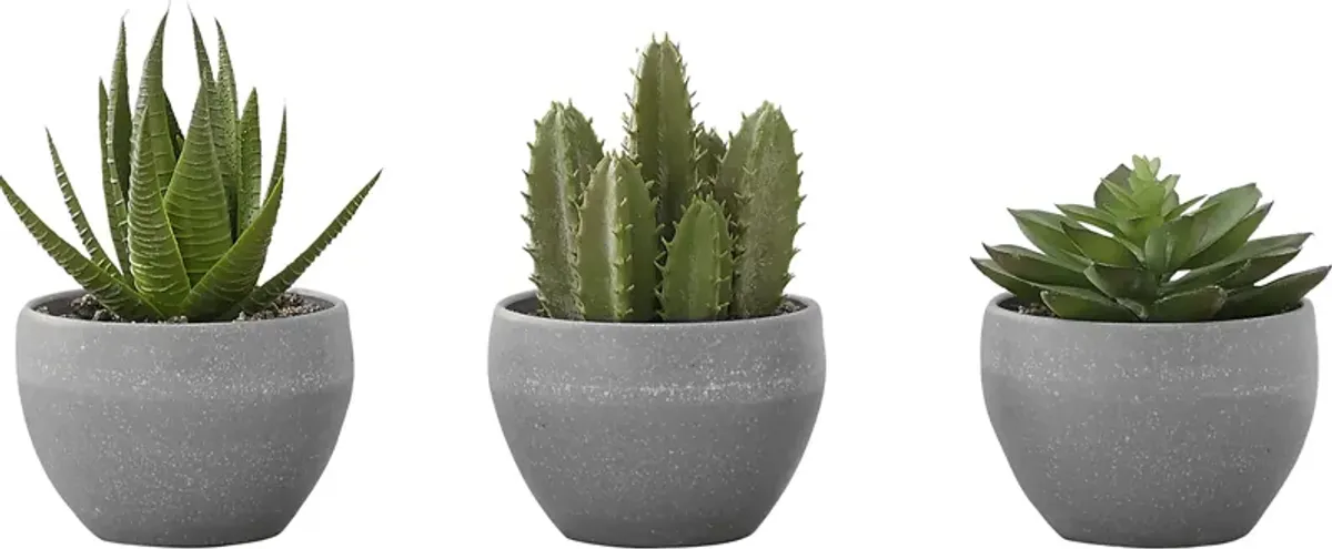 Mitscher Green Artificial Succulent Plant, Set of 3