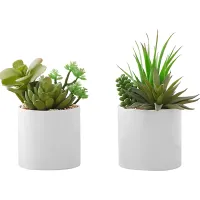 Karakara Green Artificial Succulent Plant, Set of 2