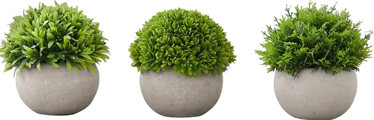 Phister Green Artificial Succulent Plant, Set of 3