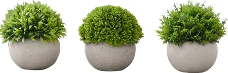 Phister Green Artificial Succulent Plant, Set of 3