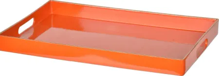 Arborn Orange Tray