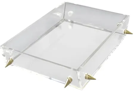 Digbo Clear Tray, Large