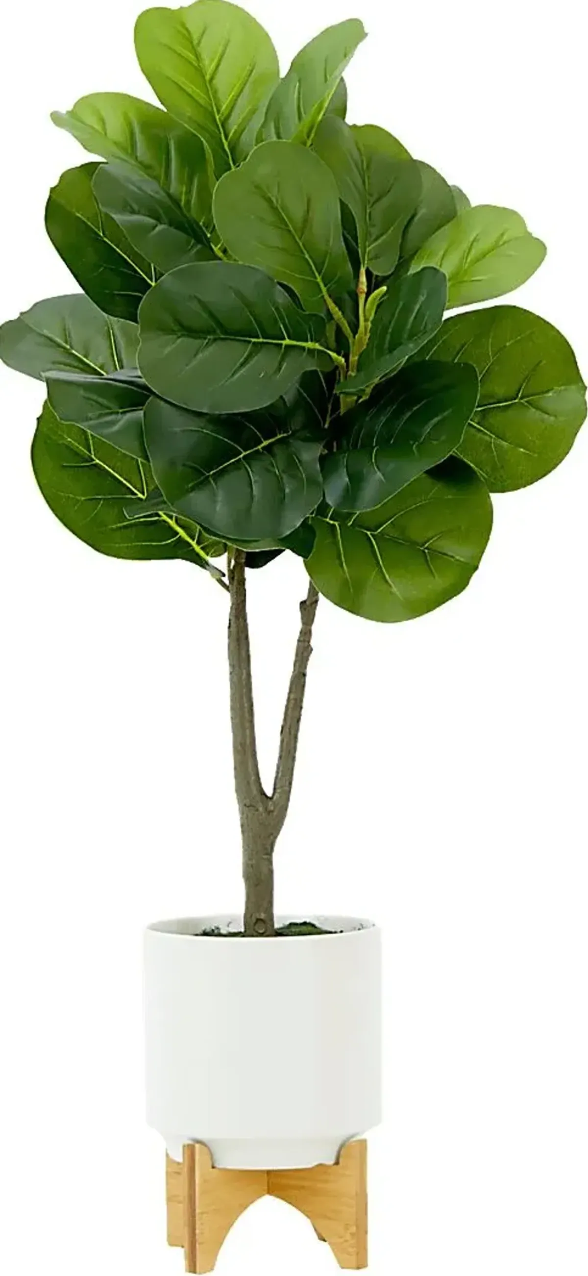 Rolison Green Tree with Planter