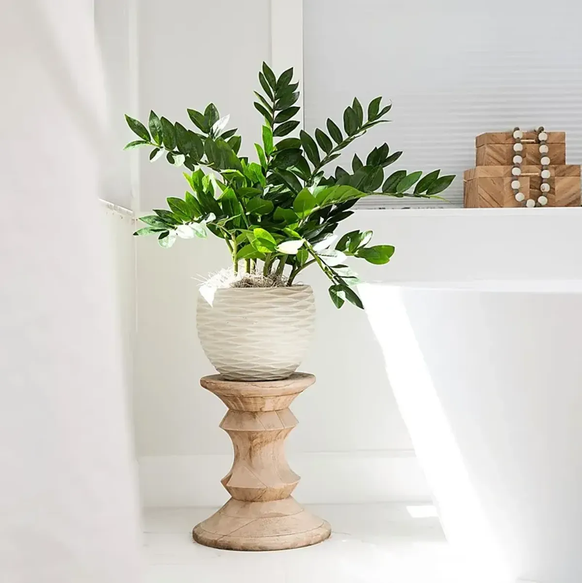 Abejorro Green Plant with Planter