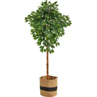 Cipriano Green Tree with Basket