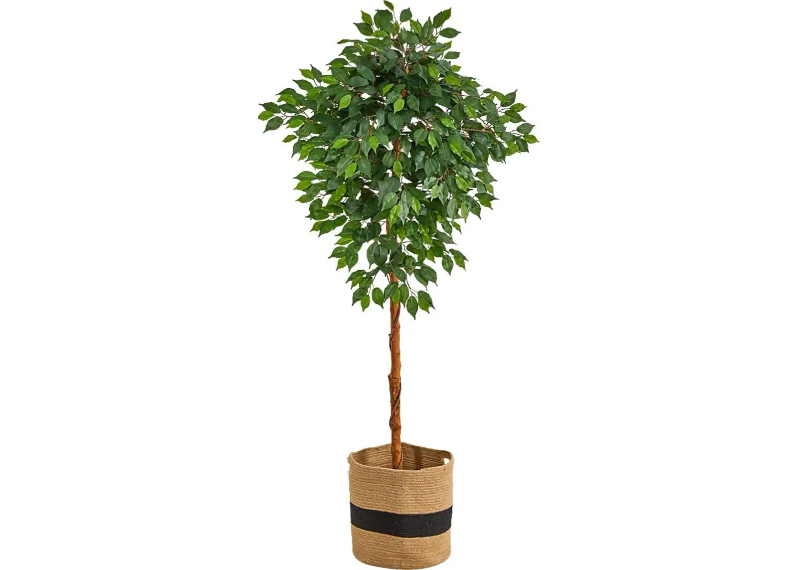 Cipriano Green Tree with Basket