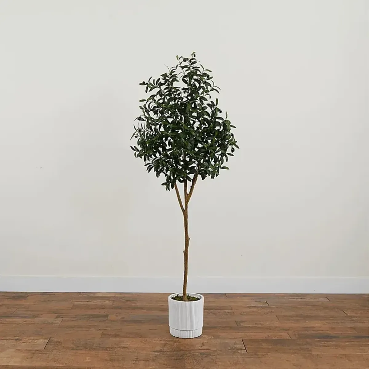 Corvidae Green Tree with Planter