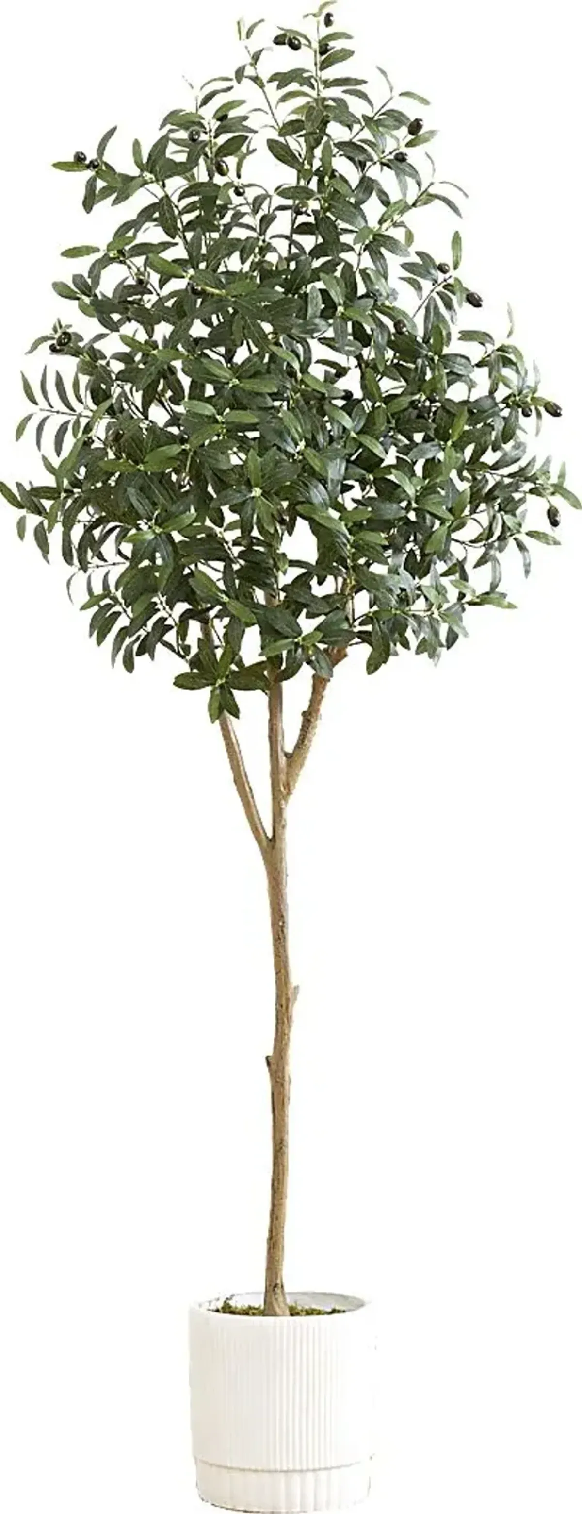 Corvidae Green Tree with Planter