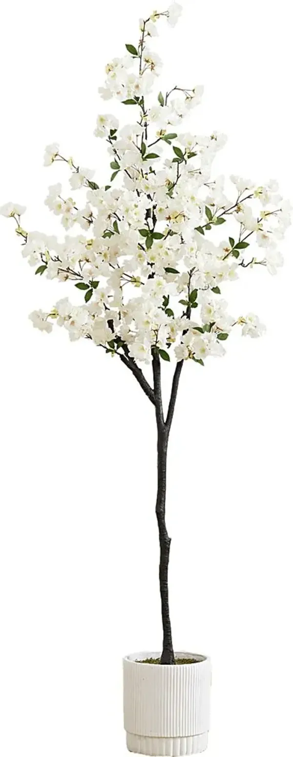 Frenata White Tree with Planter