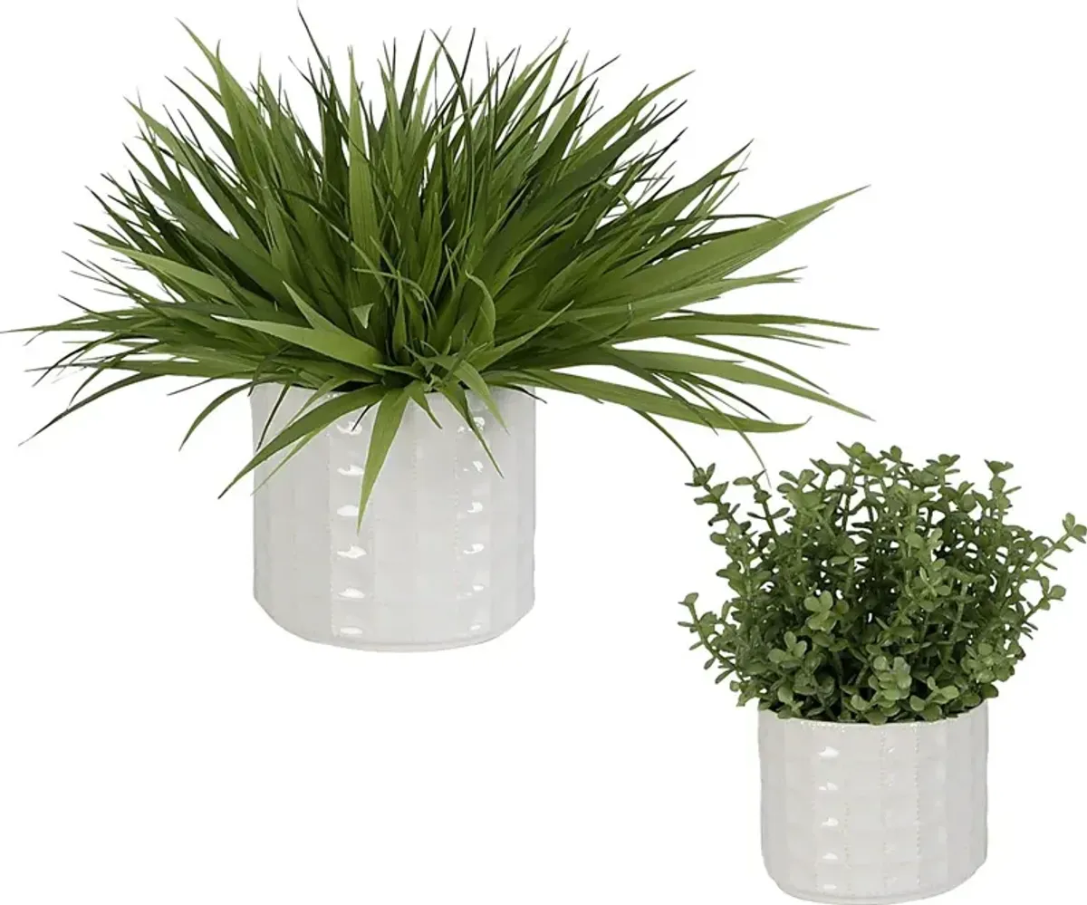 Farryn White Plant, Set of 2