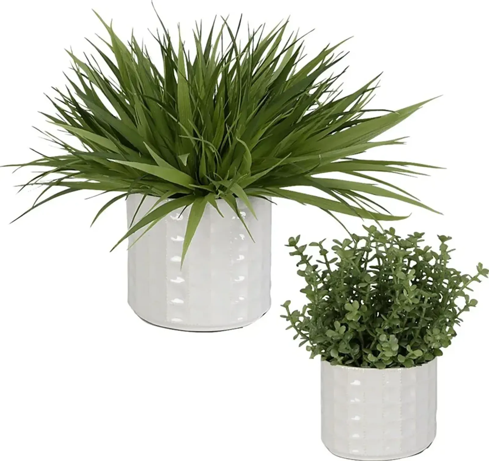 Farryn White Plant, Set of 2