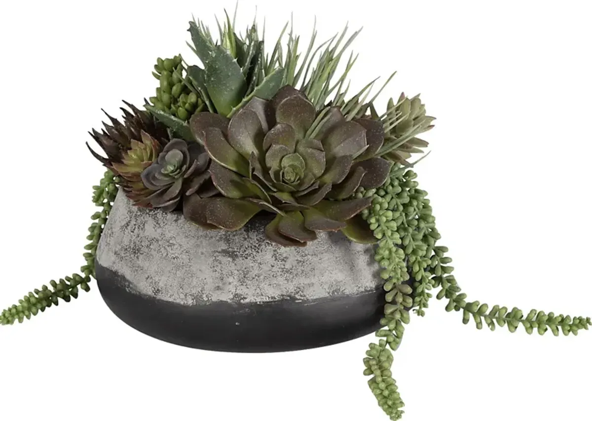 Bijou Gray Silk Plant